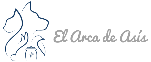 El Arca De Asis