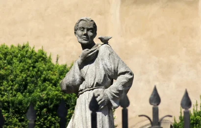 San Fco Asís